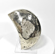 5.35" Beautiful GOLDEN PYRITE Half MOON Carving Huanzala Mine, Peru P962