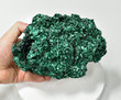 6.69" SHIMMERING FIBROUS MALACHITE - Mindingi Mine, Congo Q614