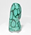 5.62" Polished MALACHITE AND CHRYSOCOLLA - Congo A908