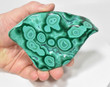 4.68" Polished MALACHITE AND CHRYSOCOLLA - Congo A911