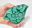 4.68" Polished MALACHITE AND CHRYSOCOLLA - Congo A911