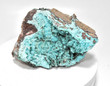 6.14" CHRYSOCOLLA Ps With MALACHITE QUARTZ Druzy Tenke Fungurume Congo Q606