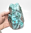 5.74" CHRYSOCOLLA Ps With MALACHITE QUARTZ Druzy Tenke Fungurume Congo Q604