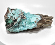 6.49" CHRYSOCOLLA Ps With MALACHITE QUARTZ Druzy Tenke Fungurume Congo Q602