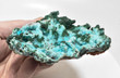 3.81" CHRYSOCOLLA Ps With MALACHITE QUARTZ Druzy Tenke Fungurume Congo Q599