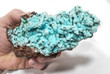 5.15"CHRYSOCOLLA PS With MALACHITE QUARTZ Druzy Tenke Fungurume Congo Q596