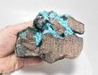 4.89" CHRYSOCOLLA Ps With MALACHITE QUARTZ Druzy Tenke Fungurume Congo Q603