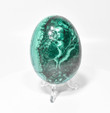 3.46" Polished MALACHITE EGG with Stand - Congo E636