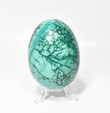 3.46" Polished MALACHITE EGG with Stand - Congo E636