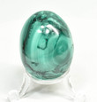 1.88" POLISHED MALACHITE EGG With Stand Congo E655