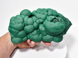 8.07" BOTRYOIDAL MALACHITE Mindingi Mine, Congo Q661