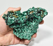 4.84" Chatoyant Fibrous MALACHITE Mindingi Mine, Congo Q672