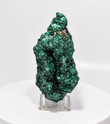 5.43" Chatoyant Fibrous MALACHITE Mindingi Mine, Congo Q664