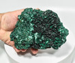 5.74" Chatoyant Fibrous MALACHITE Mindingi Mine, Congo Q669