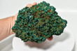 5.74" Chatoyant Fibrous MALACHITE Mindingi Mine, Congo Q669