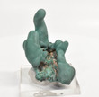 2.59" MALACHITE STALACTITE Cluster - Mindingi Mine, Congo Q716
