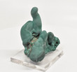 2.59" MALACHITE STALACTITE Cluster - Mindingi Mine, Congo Q716