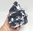 6.69" Polished ORCA AGATE FLAME Madagascar T391