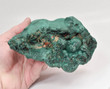 5.51" MALACHITE STALACTITE Cluster - Mindingi Mine, Congo Q713