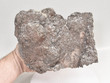 8.46" DOLOMITE CAST Tsuemb Mine, Ex Trinity Mineral Company Q699
