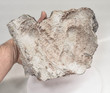 8.46" DOLOMITE CAST Tsuemb Mine, Ex Trinity Mineral Company Q699