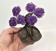 Beautiful AMETHYST Gemstone Bonsai Tree 6 Petals Brazil T368