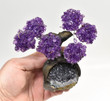 Beautiful AMETHYST Gemstone Bonsai Tree 6 Petals Brazil T359