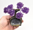 Beautiful AMETHYST Gemstone Bonsai Tree 6 Petals Brazil T359
