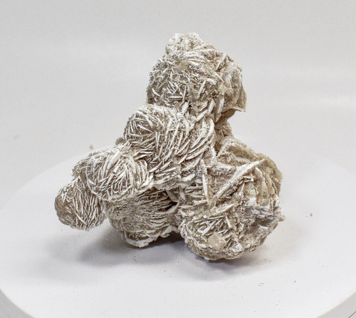 4.64" DESERT ROSE SELENITE Gypsum Cluster Mexico T465