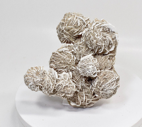 5.23" DESERT ROSE SELENITE Gypsum Cluster Mexico T467