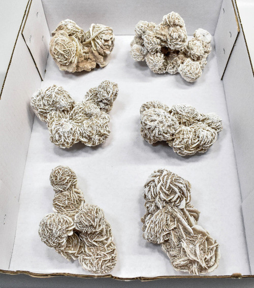 6 Piece Bulk Set DESERT ROSE SELENITE Gypsum Cluster Mexico T450