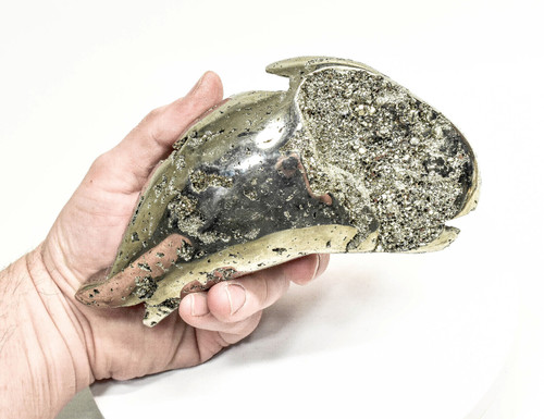 7.08" Polished PYRITE DOLPHIN CARVING Huanzala mine, Peru T497