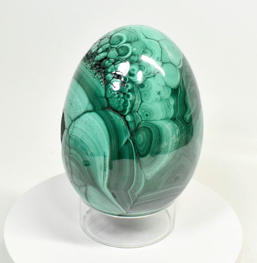 6.57" POLISHED MALACHITE EGG With Stand 10.8 Pounds - Congo - E662