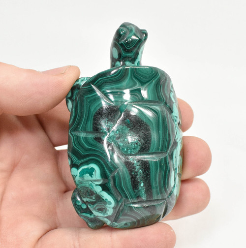 3.03" POLISHED MALACHITE TURTLE Animal Carving Congo CM46