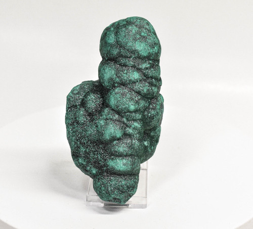 4.68" MALACHITE STALACTITE Cluster - Mindingi Mine, Congo Q714