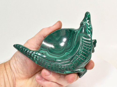 5.19" Polished MALACHITE CROCODILE BOWL Carving Congo CM107