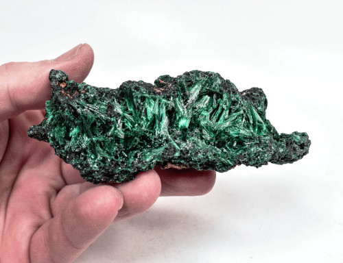 4.17" Chatoyant Fibrous MALACHITE Mindingi Mine, Congo Q818