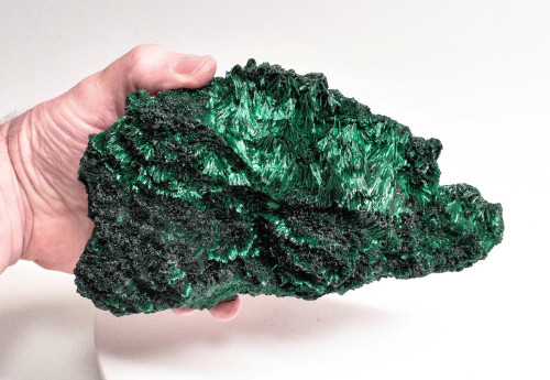 5.51" Chatoyant Fibrous MALACHITE Mindingi Mine, Congo Q807