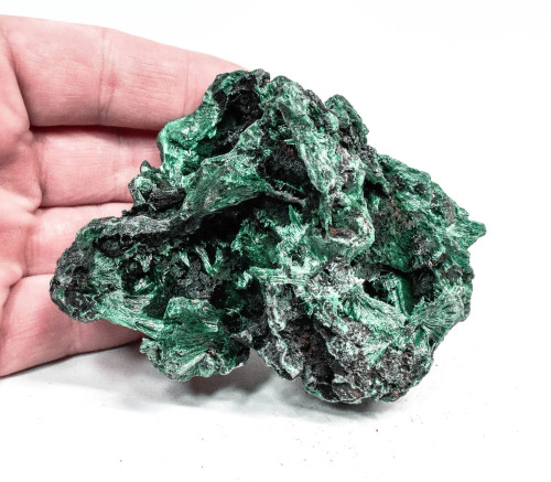 3.93" Chatoyant Fibrous MALACHITE Mindingi Mine, Congo Q816