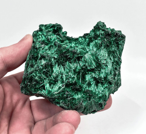 2.95" Chatoyant Fibrous MALACHITE Mindingi Mine, Congo Q817