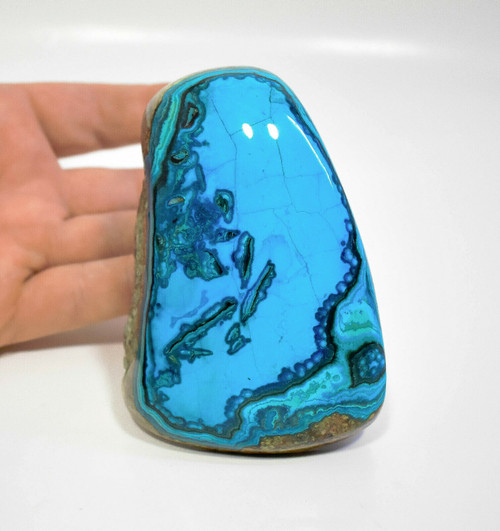 3.97" Beautiful POLISHED CHRYSOCOLLA Bagdad Mine Arizona P287