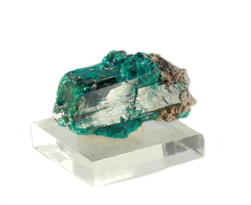 1.37" Beautiful DIOPTASE Ntola Mine, Congo P179R