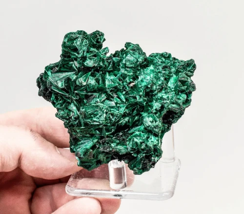 2.71" CHATOYANT FIBROUS MALACHITE Mindingi Mine, Congo Q852