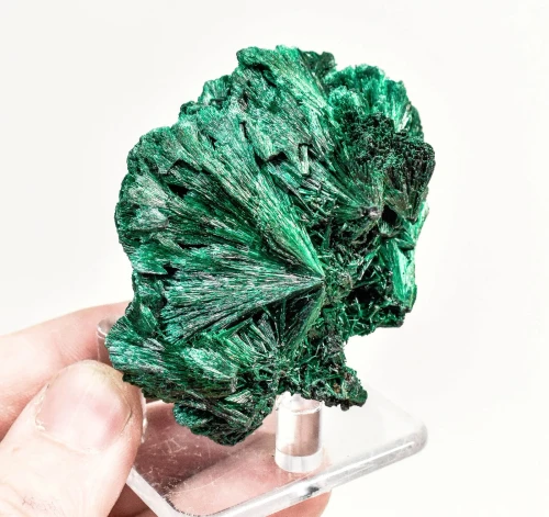 2.79" CHATOYANT FIBROUS MALACHITE Mindingi Mine, Congo Q851