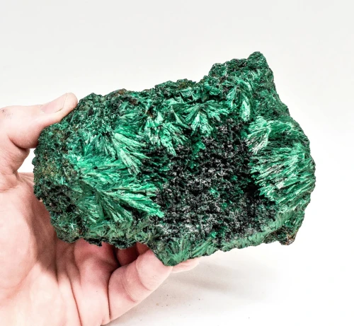4.88" CHATOYANT FIBROUS MALACHITE Mindingi Mine, Congo Q847