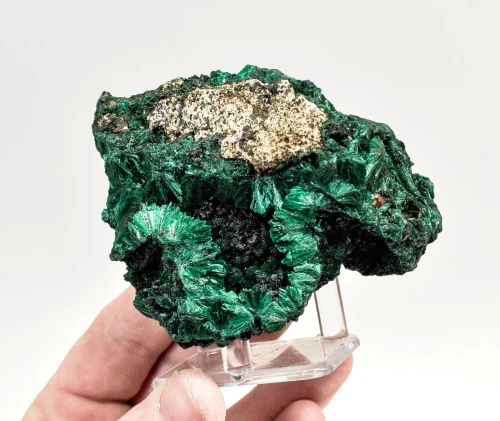 3.89" CHATOYANT FIBROUS MALACHITE With COPPER Mindingi Mine, Congo Q854