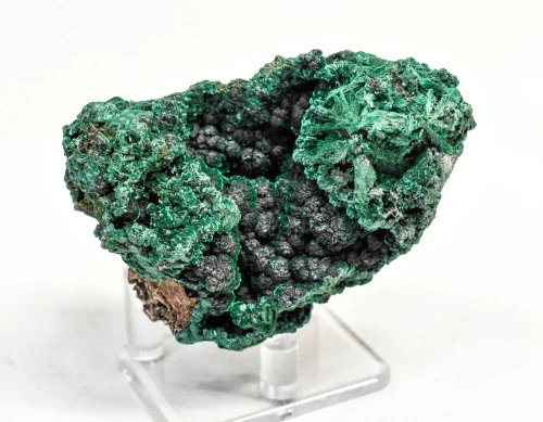 2.95" CHATOYANT FIBROUS MALACHITE Mindingi Mine, Congo Q850