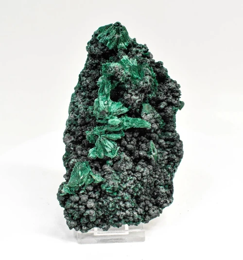 4.64" CHATOYANT FIBROUS MALACHITE Mindingi Mine, Congo Q853