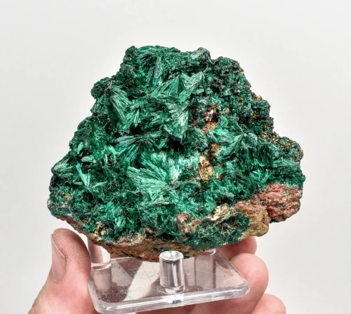 3.50" CHATOYANT FIBROUS MALACHITE Mindingi Mine, Congo Q866