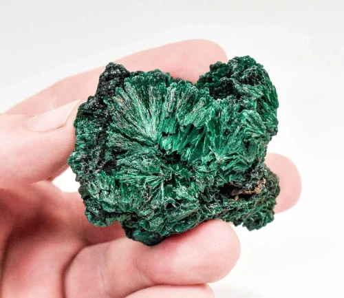 2.16" CHATOYANT FIBROUS MALACHITE Mindingi Mine, Congo Q861
